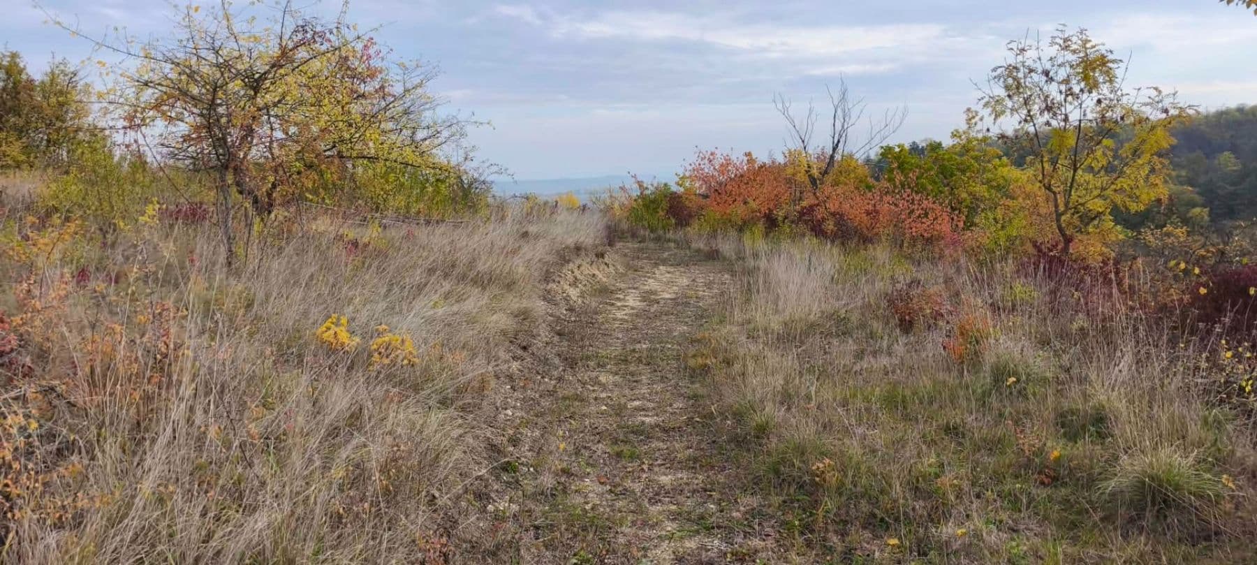 Prodej pozemku 5.326 m², Libochovice, Ústecký kraj Prodej pozemku 5.326 m², Libochovice, Ústecký kraj