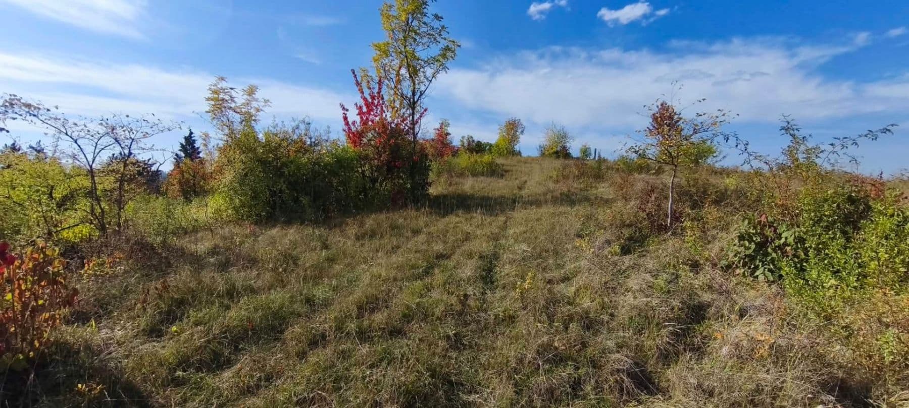 Prodej pozemku 5.326 m², Libochovice, Ústecký kraj Prodej pozemku 5.326 m², Libochovice, Ústecký kraj