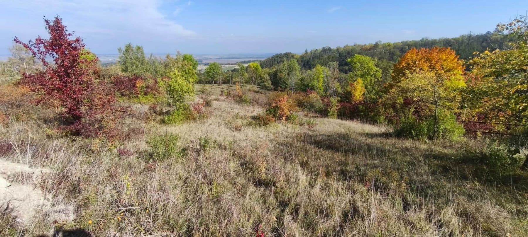 Prodej pozemku 5.326 m², Libochovice, Ústecký kraj Prodej pozemku 5.326 m², Libochovice, Ústecký kraj