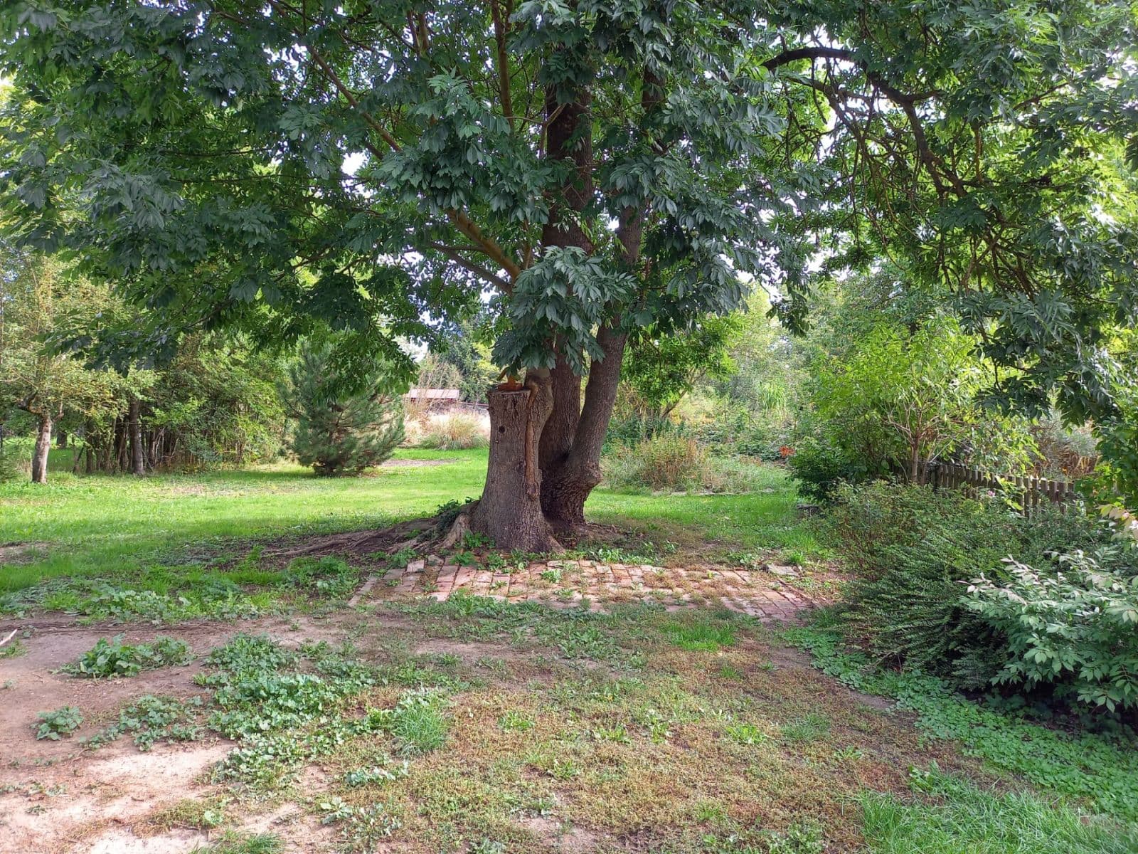 Prodej domu 114 m², pozemek 1.713 m², Nechanice, Královéhradecký kraj Prodej domu 114 m², pozemek 1.713 m², Nechanice, Královéhradecký kraj