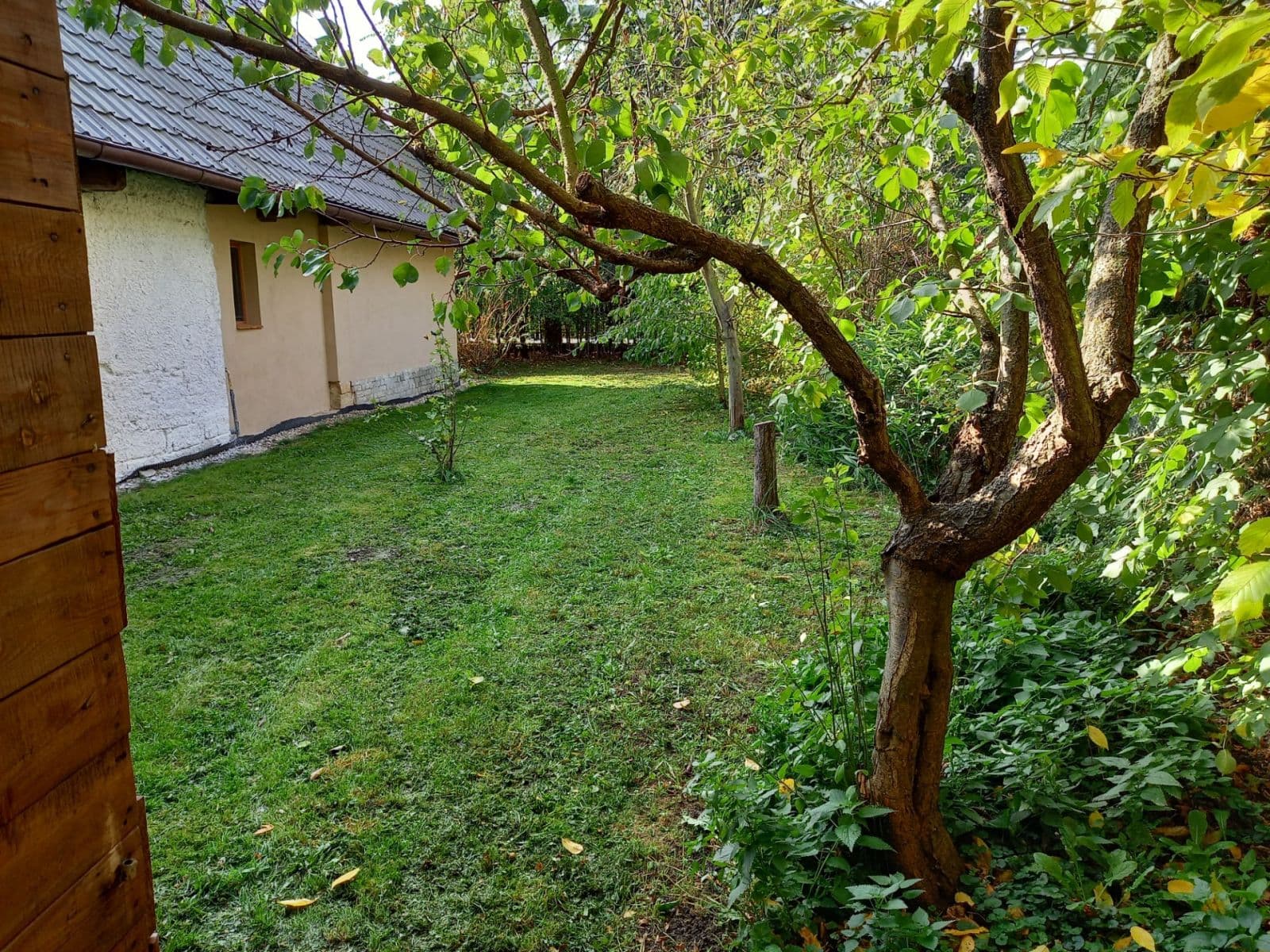 Prodej domu 114 m², pozemek 1.713 m², Nechanice, Královéhradecký kraj Prodej domu 114 m², pozemek 1.713 m², Nechanice, Královéhradecký kraj