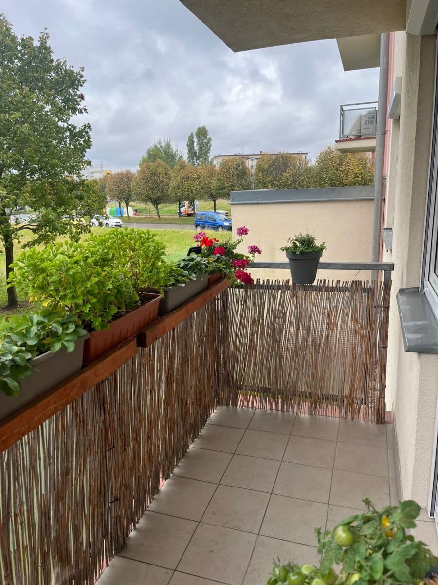 Pronájem bytu 2+kk 37 m², Felklova, Roztoky, Středočeský kraj Pronájem bytu 2+kk 37 m², Felklova, Roztoky, Středočeský kraj