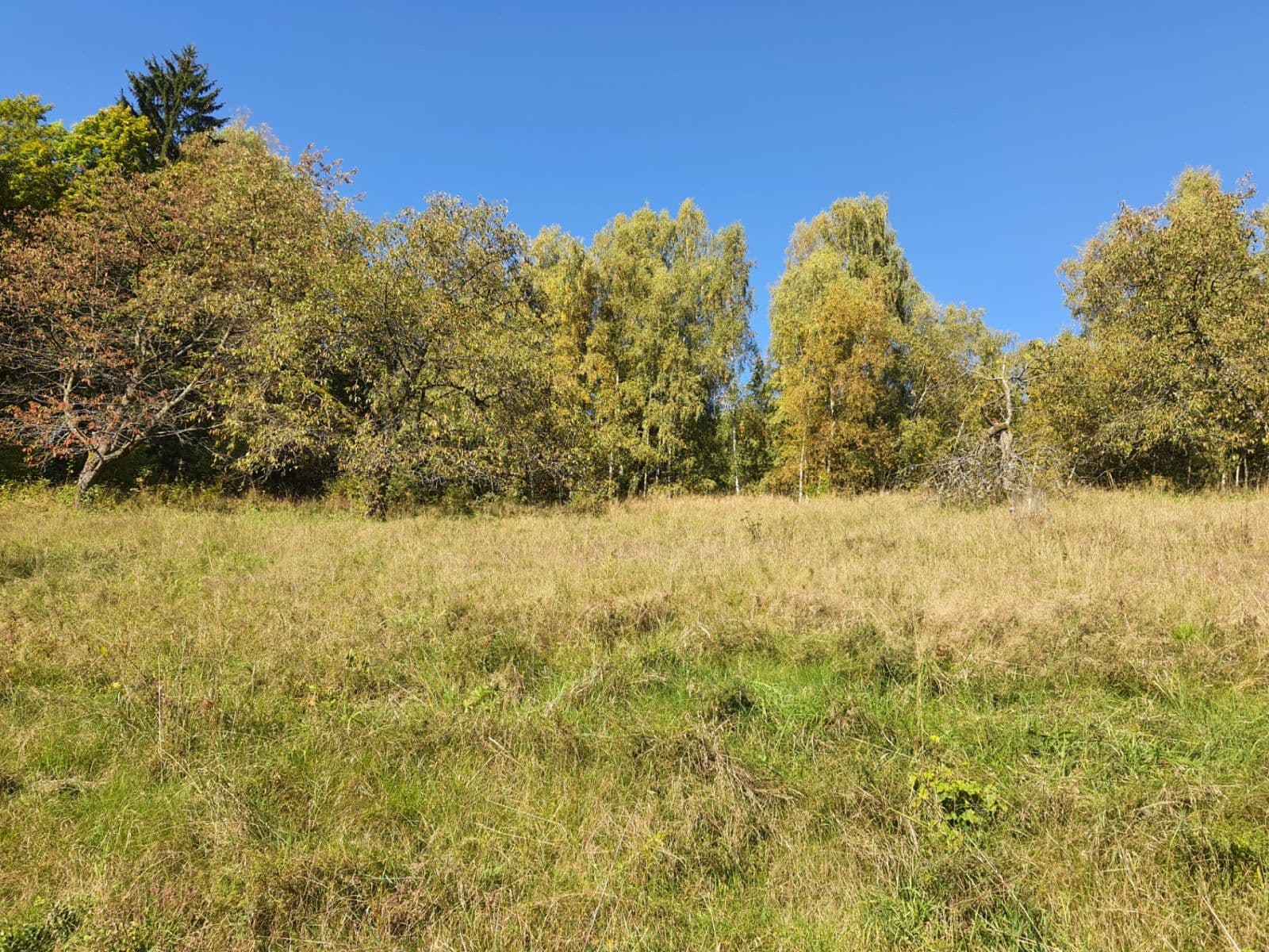 Prodej pozemku 3.362 m², Jablonec nad Jizerou, Liberecký kraj Prodej pozemku 3.362 m², Jablonec nad Jizerou, Liberecký kraj