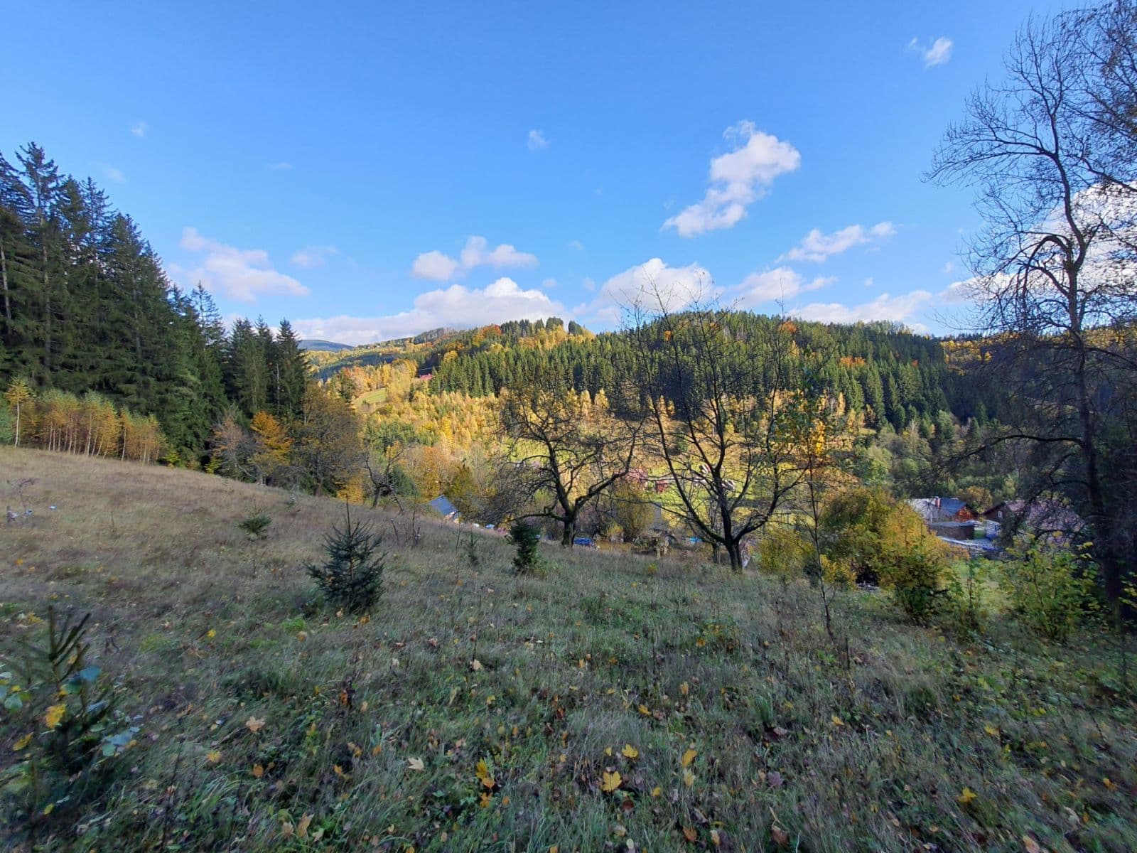Prodej pozemku 3.362 m², Jablonec nad Jizerou, Liberecký kraj Prodej pozemku 3.362 m², Jablonec nad Jizerou, Liberecký kraj