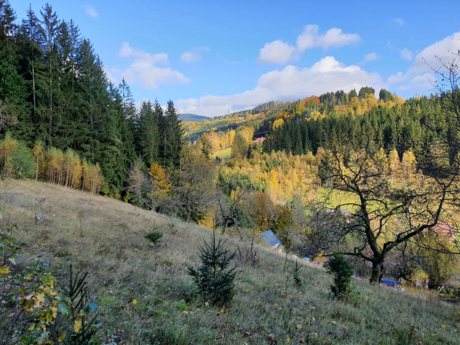 Prodej pozemku 3.362 m², Jablonec nad Jizerou, Liberecký kraj Prodej pozemku 3.362 m², Jablonec nad Jizerou, Liberecký kraj