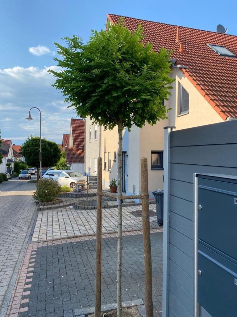 Pronájem bytu 3+1 69 m², Bindweidring 1, Karben, Hessen Pronájem bytu 3+1 69 m², Bindweidring 1, Karben, Hessen