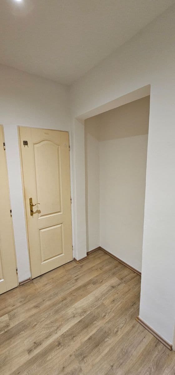 Pronájem bytu 2+kk 46 m², Primátorská, Praha, Praha Pronájem bytu 2+kk 46 m², Primátorská, Praha, Praha