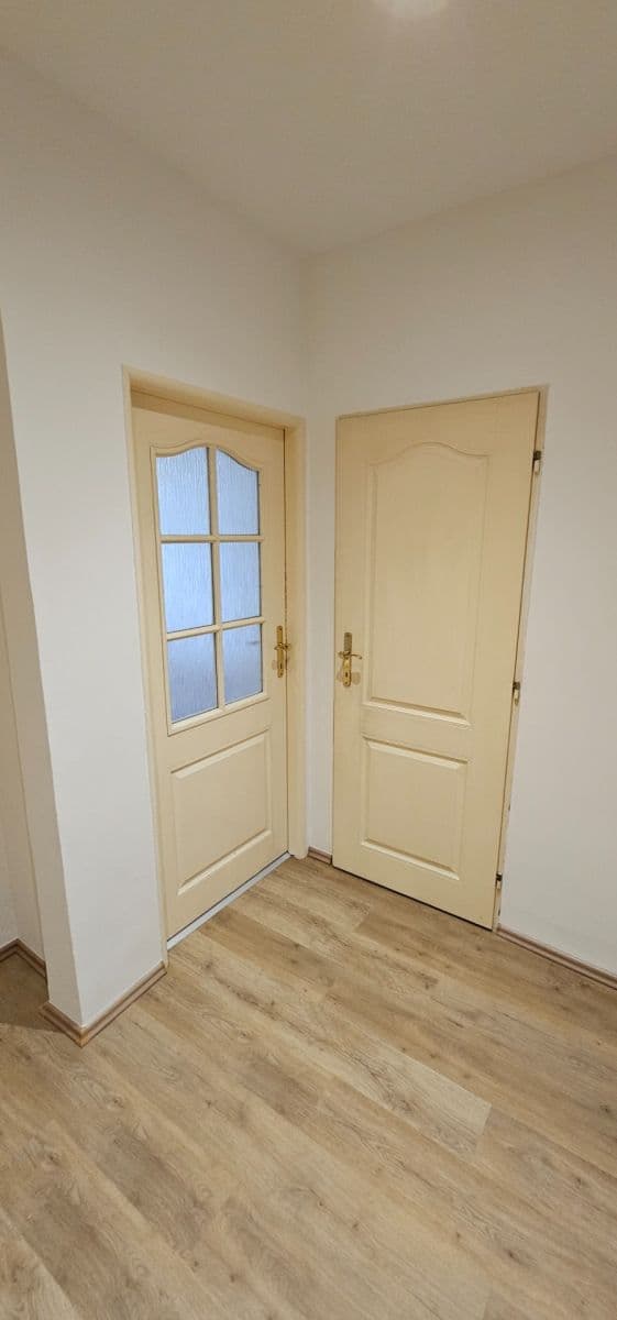 Pronájem bytu 2+kk 46 m², Primátorská, Praha, Praha Pronájem bytu 2+kk 46 m², Primátorská, Praha, Praha
