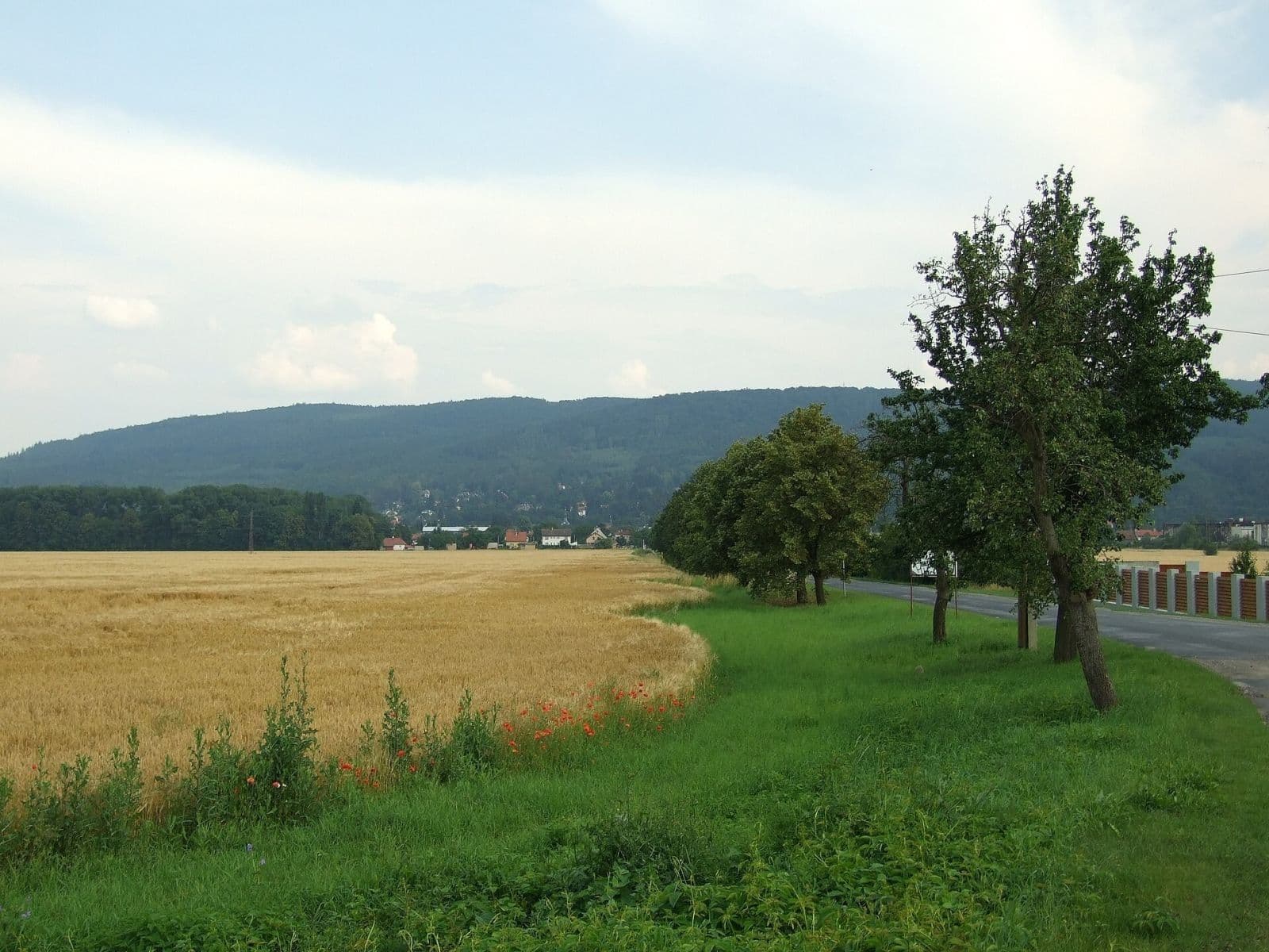 Pronájem pozemku 3.476 m², Dobřichovice, Středočeský kraj Pronájem pozemku 3.476 m², Dobřichovice, Středočeský kraj