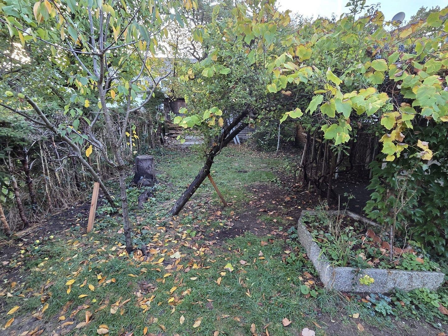 Pronájem domu 130 m², pozemek 374 m², Siegsdorfer Straße, München, Bavorsko Pronájem domu 130 m², pozemek 374 m², Siegsdorfer Straße, München, Bavorsko