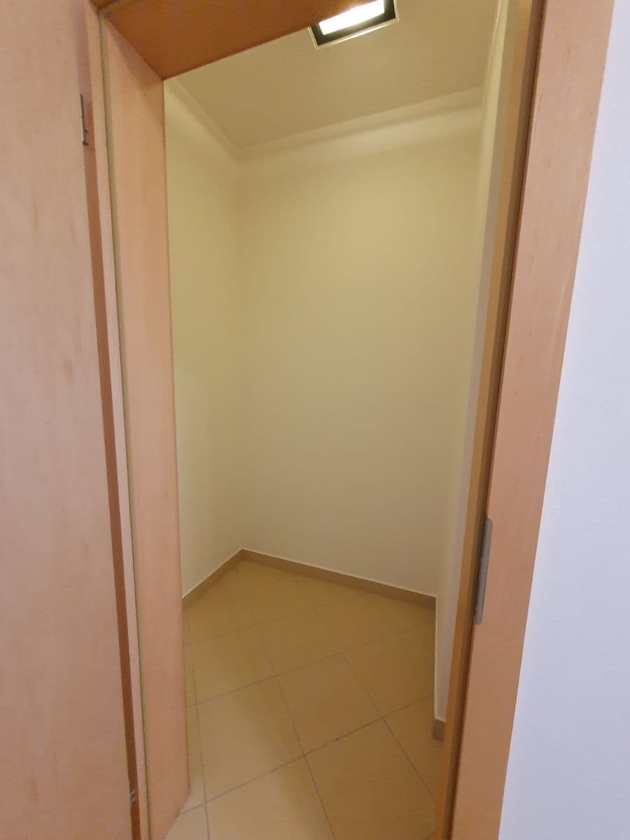 Pronájem bytu 1+kk 41 m², Nad Akcízem, Praha, Praha Pronájem bytu 1+kk 41 m², Nad Akcízem, Praha, Praha