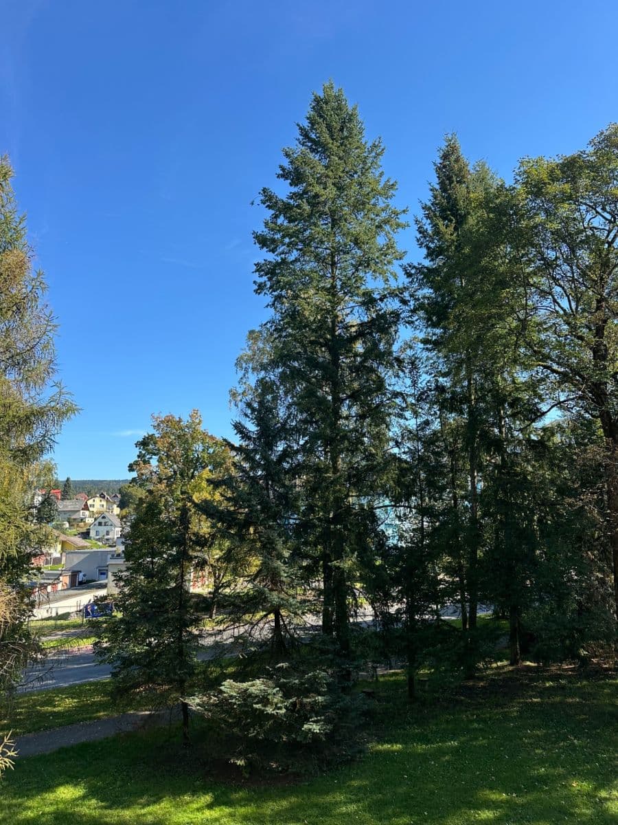 Prodej bytu 4+kk 72 m², Mechová, Jablonec nad Nisou, Liberecký kraj Prodej bytu 4+kk 72 m², Mechová, Jablonec nad Nisou, Liberecký kraj