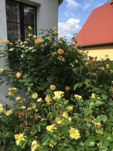 Prodej domu 132 m², pozemek 465 m², Weimar, Durynsko Prodej domu 132 m², pozemek 465 m², Weimar, Durynsko