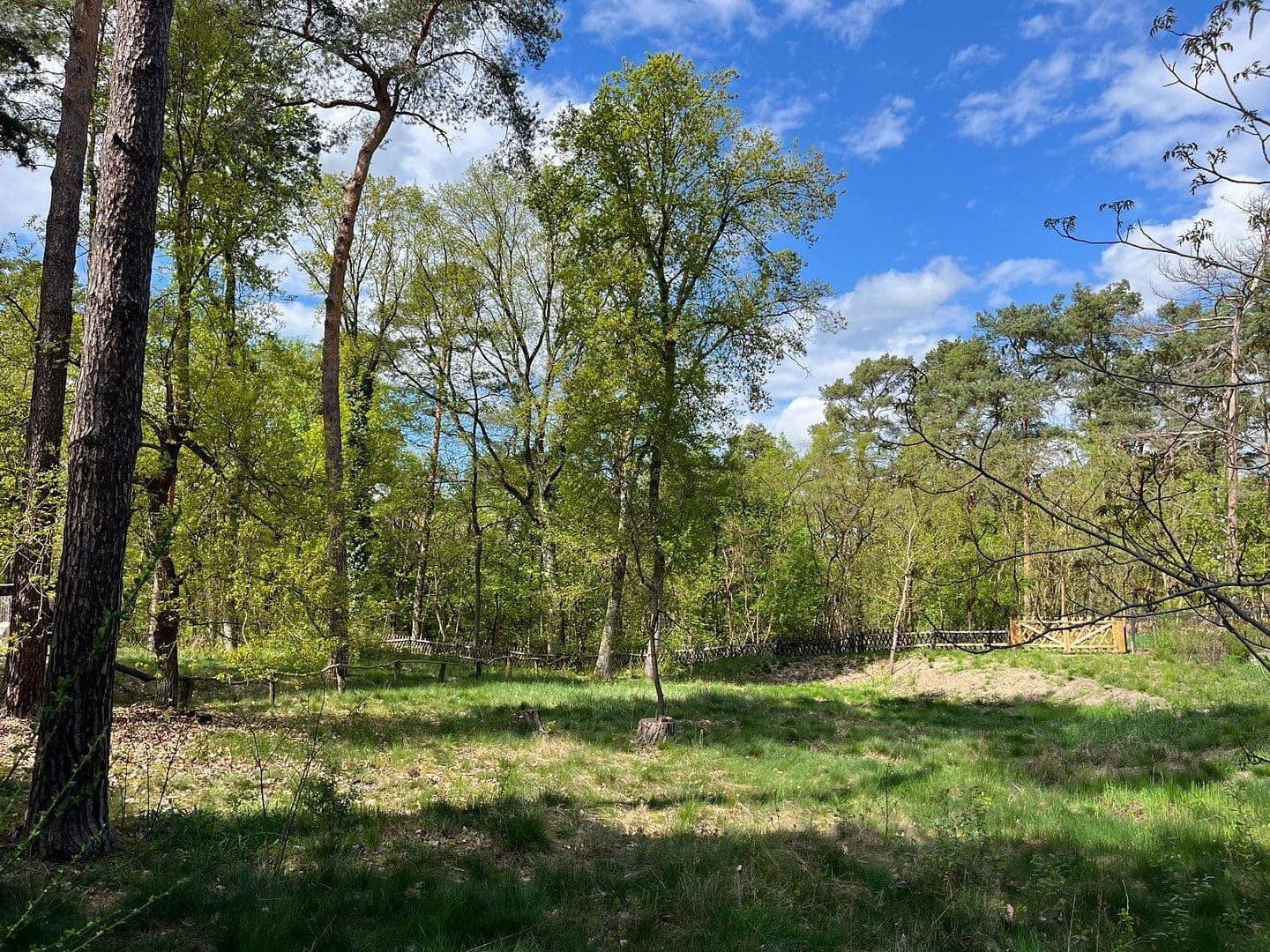 Prodej pozemku 733 m², Heidesee, Braniborsko Prodej pozemku 733 m², Heidesee, Braniborsko