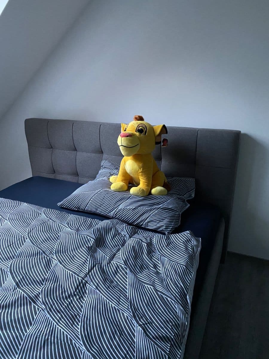 Pronájem domu 180 m², pozemek 70 m², Nepovolená, Praha, Praha Pronájem domu 180 m², pozemek 70 m², Nepovolená, Praha, Praha