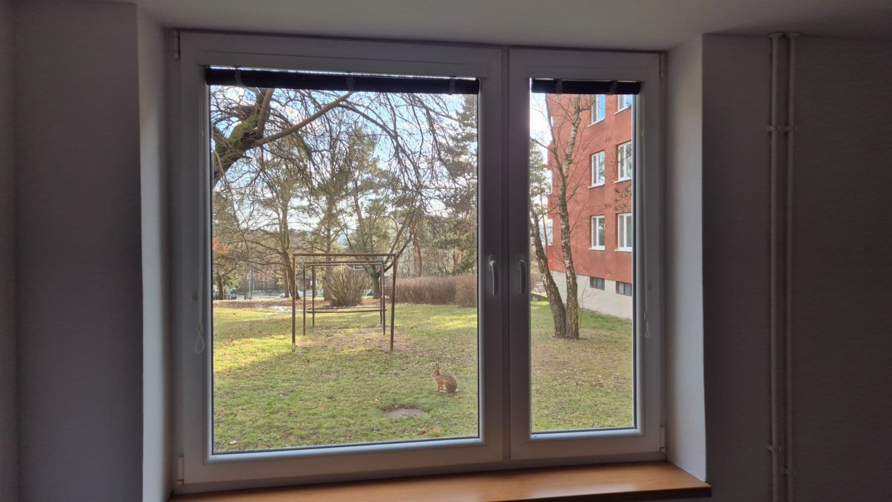 Pronájem bytu 1+kk 30 m², Brožíkova, Brno, Jihomoravský kraj Pronájem bytu 1+kk 30 m², Brožíkova, Brno, Jihomoravský kraj
