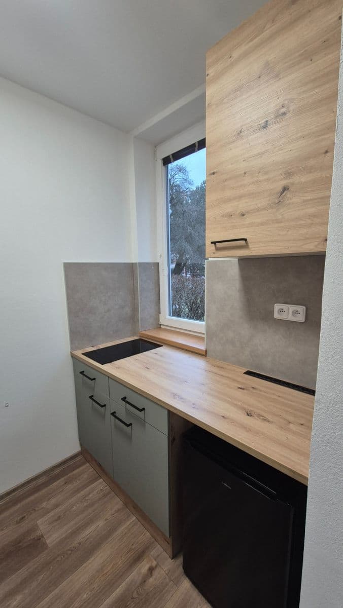 Pronájem bytu 1+kk 30 m², Brožíkova, Brno, Jihomoravský kraj Pronájem bytu 1+kk 30 m², Brožíkova, Brno, Jihomoravský kraj