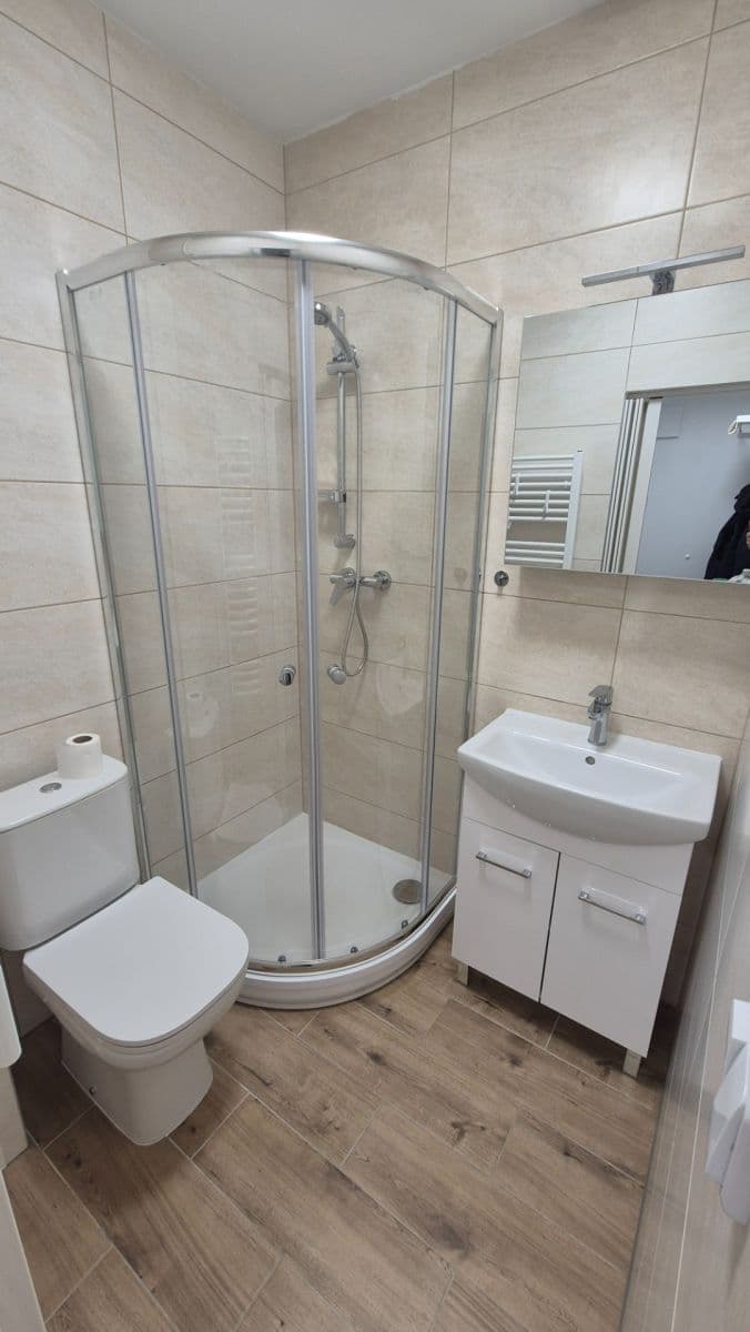 Pronájem bytu 1+kk 30 m², Brožíkova, Brno, Jihomoravský kraj Pronájem bytu 1+kk 30 m², Brožíkova, Brno, Jihomoravský kraj