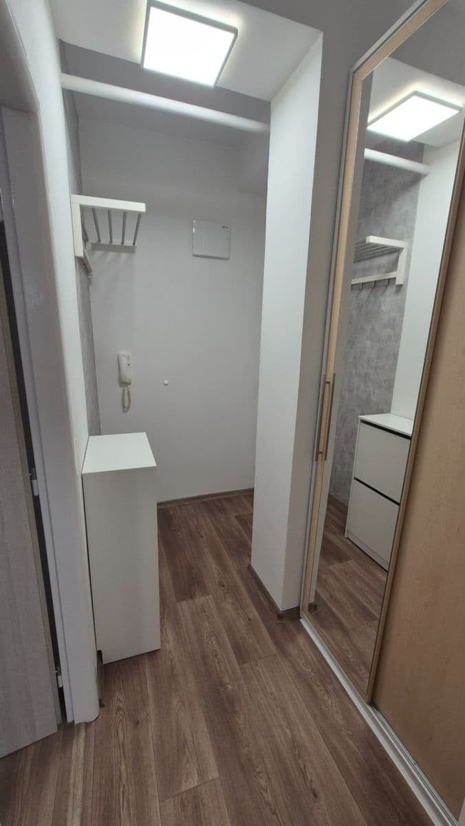 Pronájem bytu 1+kk 30 m², Brožíkova, Brno, Jihomoravský kraj Pronájem bytu 1+kk 30 m², Brožíkova, Brno, Jihomoravský kraj