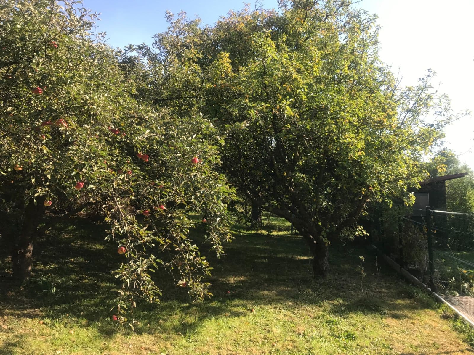 Prodej domu 282 m², pozemek 1.185 m², Kpt. Nálepky, Fulnek, Moravskoslezský kraj Prodej domu 282 m², pozemek 1.185 m², Kpt. Nálepky, Fulnek, Moravskoslezský kraj