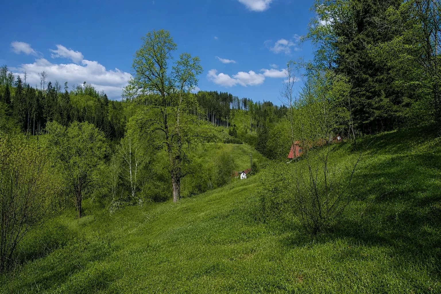 Prodej pozemku 16.360 m², Jablonec nad Jizerou, Liberecký kraj Prodej pozemku 16.360 m², Jablonec nad Jizerou, Liberecký kraj