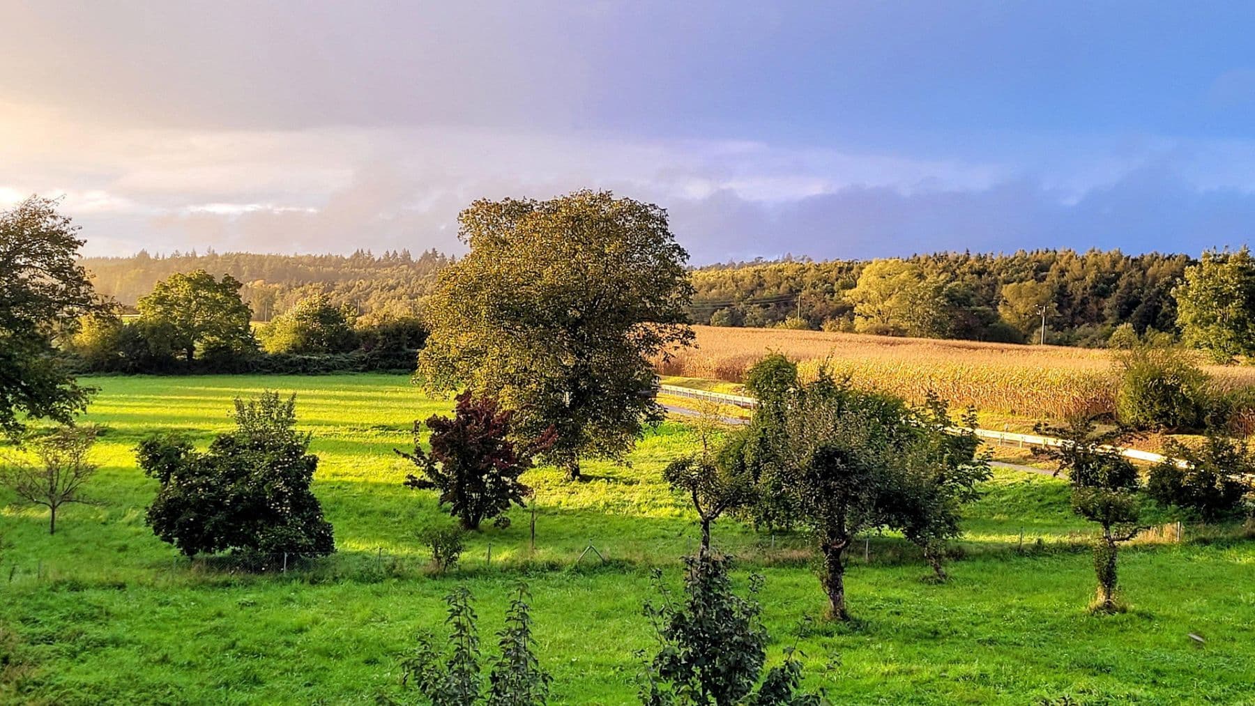 Prodej domu 210 m², pozemek 464 m², Allensbach, Bádensko-Württembersko Prodej domu 210 m², pozemek 464 m², Allensbach, Bádensko-Württembersko