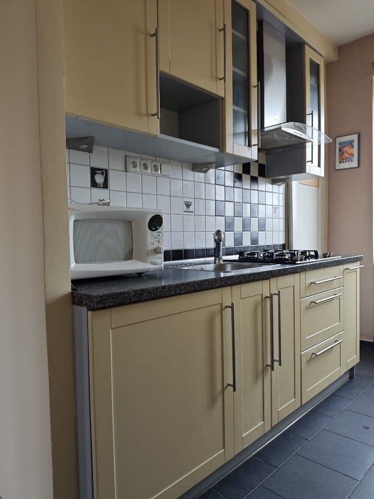 Pronájem bytu 2+1 60 m², Dr. Šmerala, Ostrava, Moravskoslezský kraj Pronájem bytu 2+1 60 m², Dr. Šmerala, Ostrava, Moravskoslezský kraj