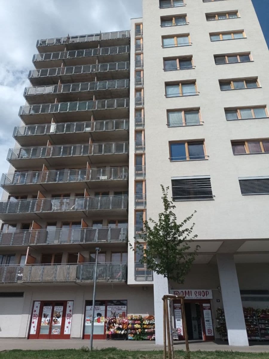 Pronájem bytu 1+kk 44 m², Panuškova, Praha, Praha Pronájem bytu 1+kk 44 m², Panuškova, Praha, Praha