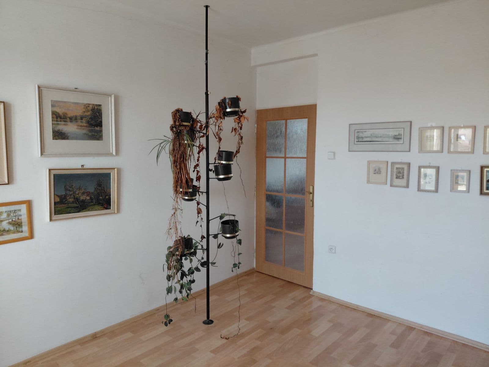 Prodej bytu 2+1 59 m², Pecháčkova, Přibyslav, Kraj Vysočina Prodej bytu 2+1 59 m², Pecháčkova, Přibyslav, Kraj Vysočina