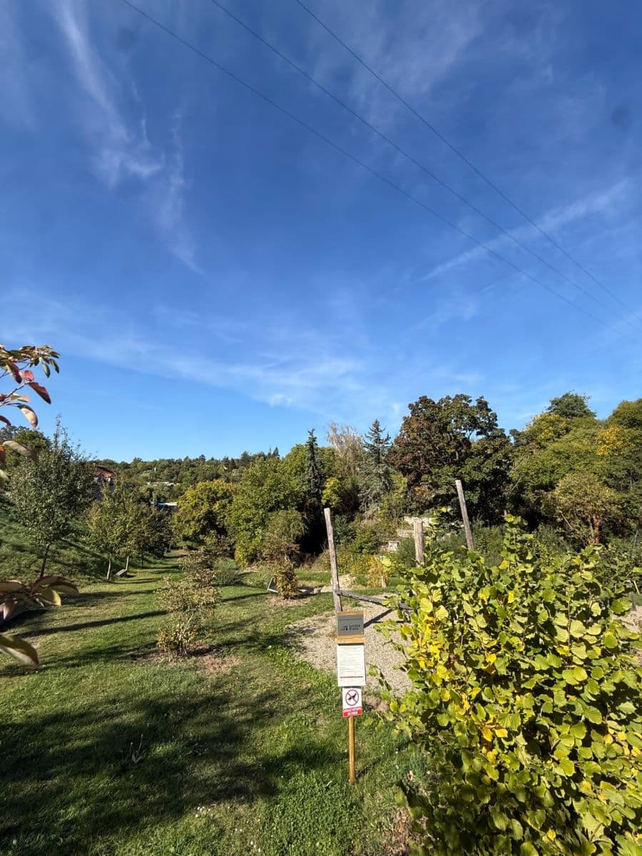 Prodej pozemku 1.547 m², Zdiby, Středočeský kraj Prodej pozemku 1.547 m², Zdiby, Středočeský kraj