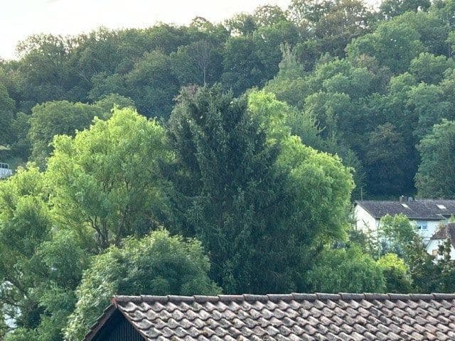 Pronájem bytu 2+kk 55 m², Königsbach-Stein, Bádensko-Württembersko Pronájem bytu 2+kk 55 m², Königsbach-Stein, Bádensko-Württembersko