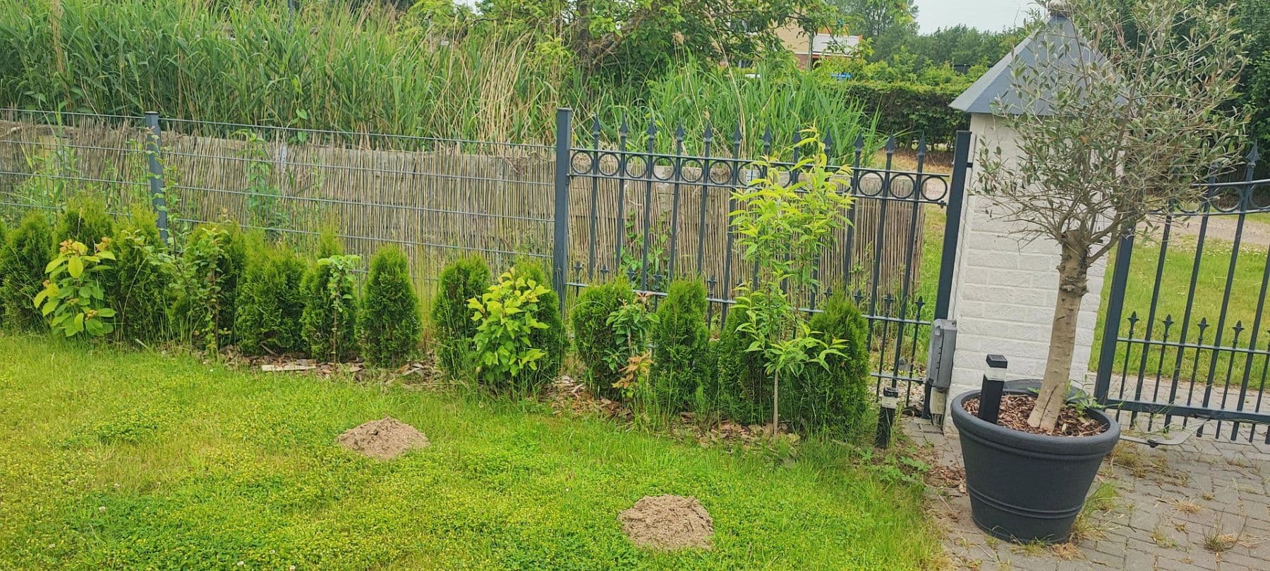 Prodej domu 400 m², pozemek 1.040 m², Schönberg (Holstein), Šlesvicko-Holštýnsko Prodej domu 400 m², pozemek 1.040 m², Schönberg (Holstein), Šlesvicko-Holštýnsko