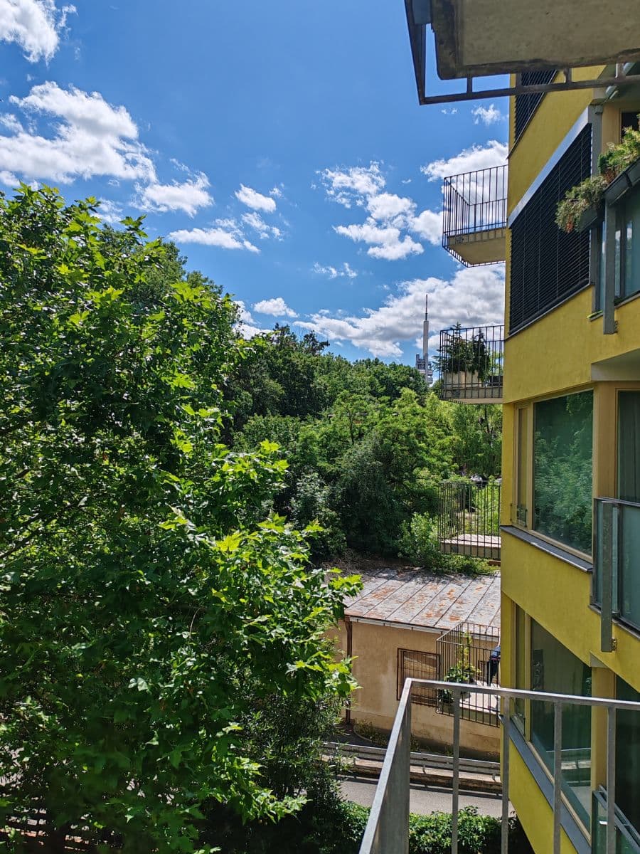 Pronájem bytu 1+kk 46 m², Jeseniova, Praha, Praha Pronájem bytu 1+kk 46 m², Jeseniova, Praha, Praha