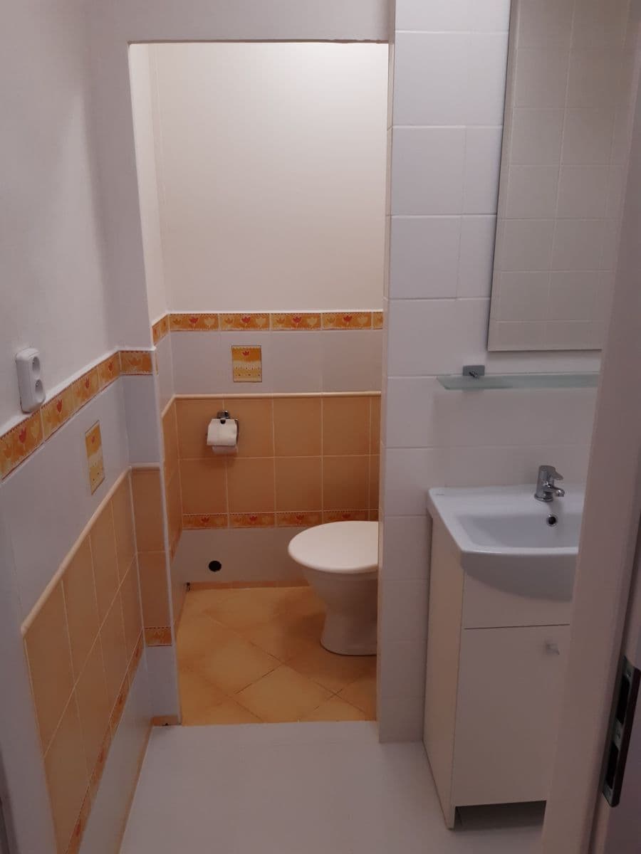 Pronájem bytu 1+1 38 m², Slavíkova, Ostrava, Moravskoslezský kraj Pronájem bytu 1+1 38 m², Slavíkova, Ostrava, Moravskoslezský kraj