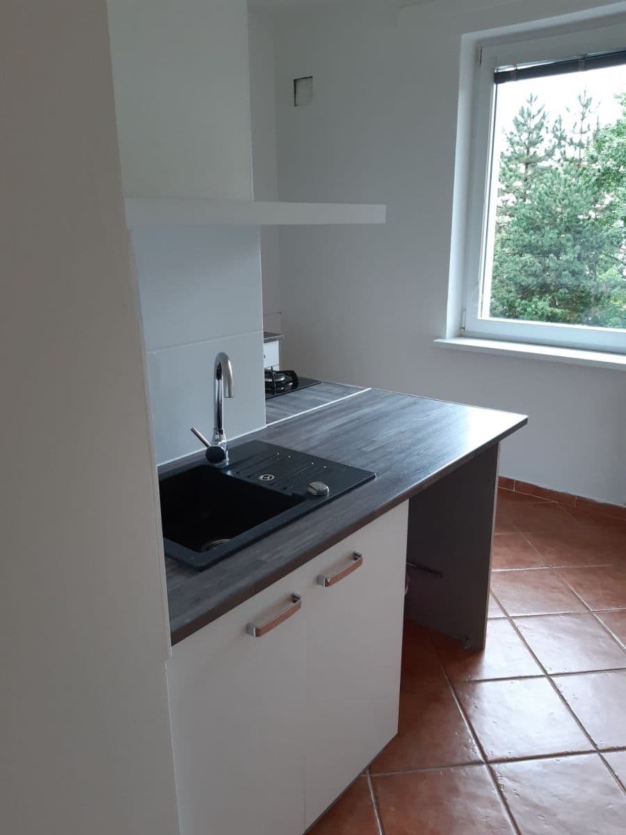 Pronájem bytu 1+1 38 m², Slavíkova, Ostrava, Moravskoslezský kraj Pronájem bytu 1+1 38 m², Slavíkova, Ostrava, Moravskoslezský kraj