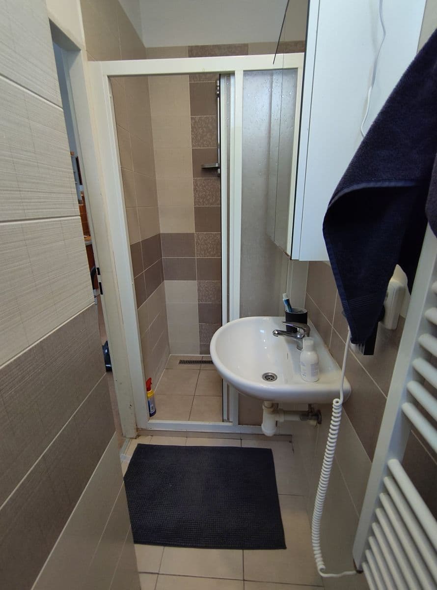 Pronájem bytu 1+1 44 m², Seifertova, Praha, Praha Pronájem bytu 1+1 44 m², Seifertova, Praha, Praha