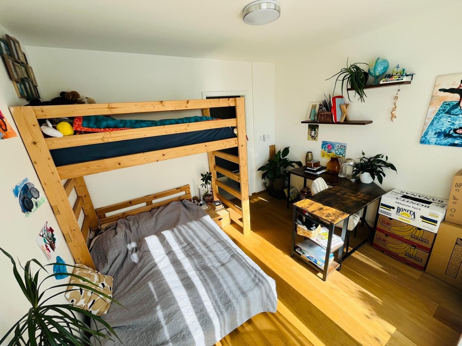 Pronájem bytu 2+kk 55 m², Olgy Havlové, Praha, Praha Pronájem bytu 2+kk 55 m², Olgy Havlové, Praha, Praha