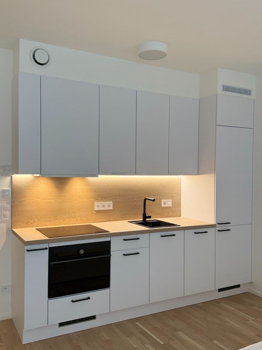 Pronájem bytu 1+kk 39 m², Hartigova, Praha, Praha Pronájem bytu 1+kk 39 m², Hartigova, Praha, Praha