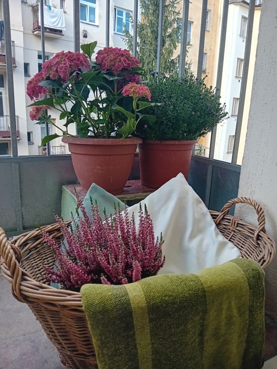 Pronájem bytu 2+kk 51 m², Krymská, Praha, Praha Pronájem bytu 2+kk 51 m², Krymská, Praha, Praha