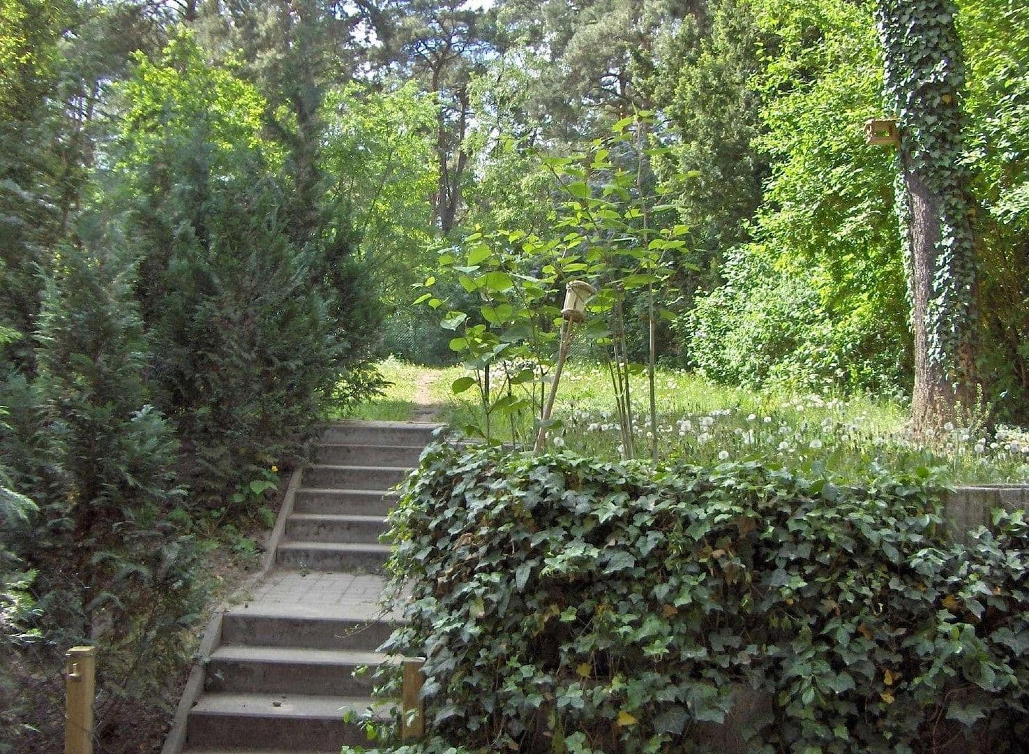 Prodej bytu 4+1 132 m², Cimbernring 39, Rangsdorf, Braniborsko Prodej bytu 4+1 132 m², Cimbernring 39, Rangsdorf, Braniborsko