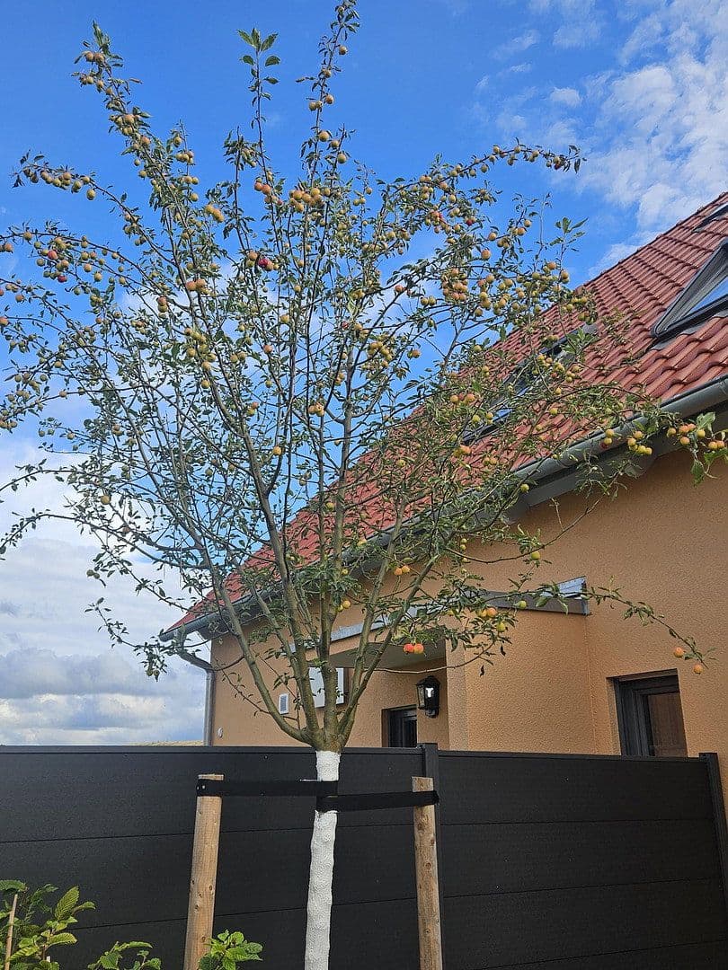 Pronájem bytu 2+kk 66 m², Brunnenweg 1a, Kamenec, Sasko Pronájem bytu 2+kk 66 m², Brunnenweg 1a, Kamenec, Sasko