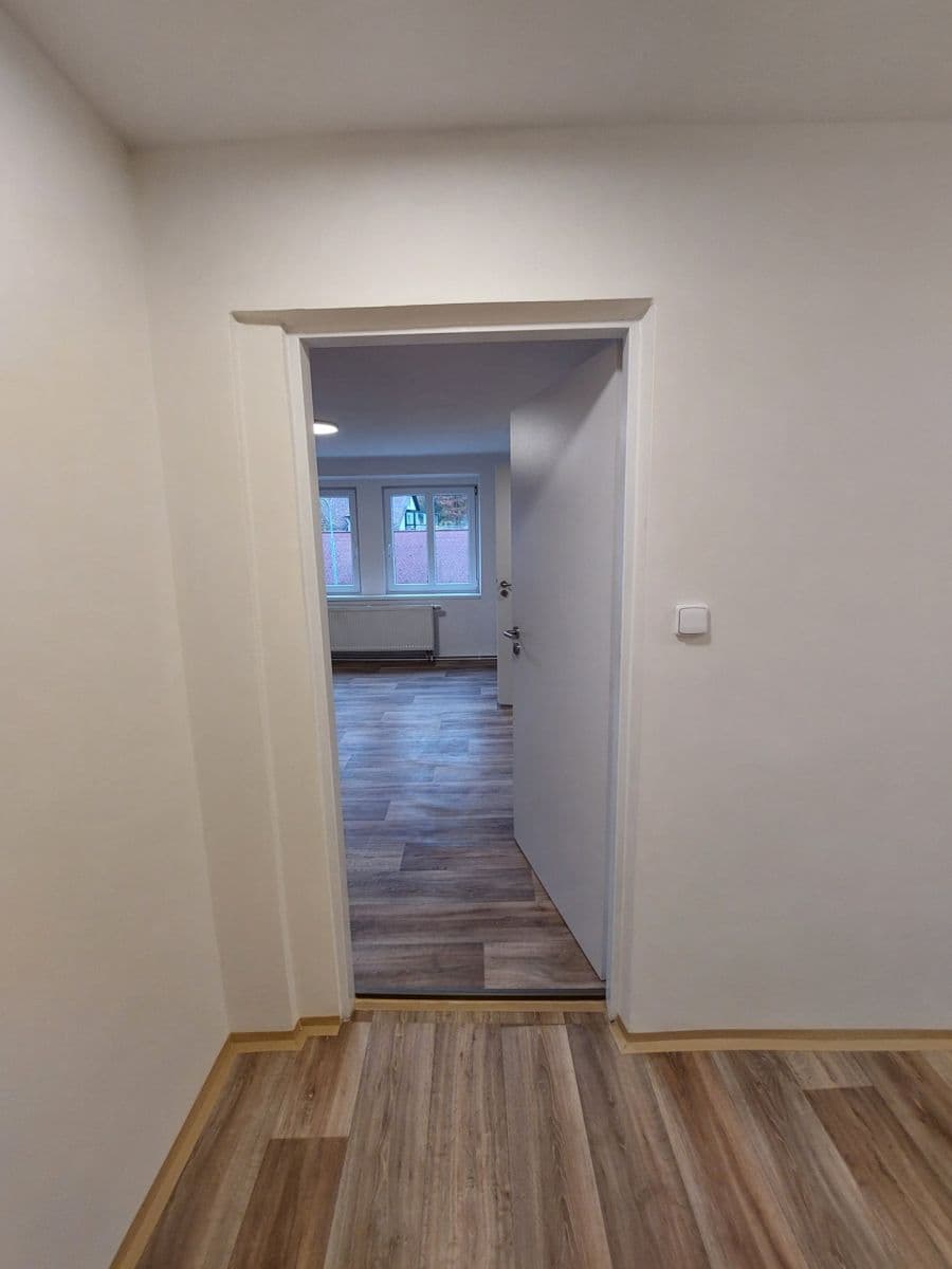 Pronájem bytu 1+1 55 m², Hodkovická, Liberec, Liberecký kraj Pronájem bytu 1+1 55 m², Hodkovická, Liberec, Liberecký kraj