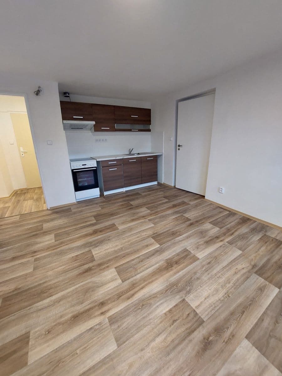 Pronájem bytu 1+1 55 m², Hodkovická, Liberec, Liberecký kraj Pronájem bytu 1+1 55 m², Hodkovická, Liberec, Liberecký kraj