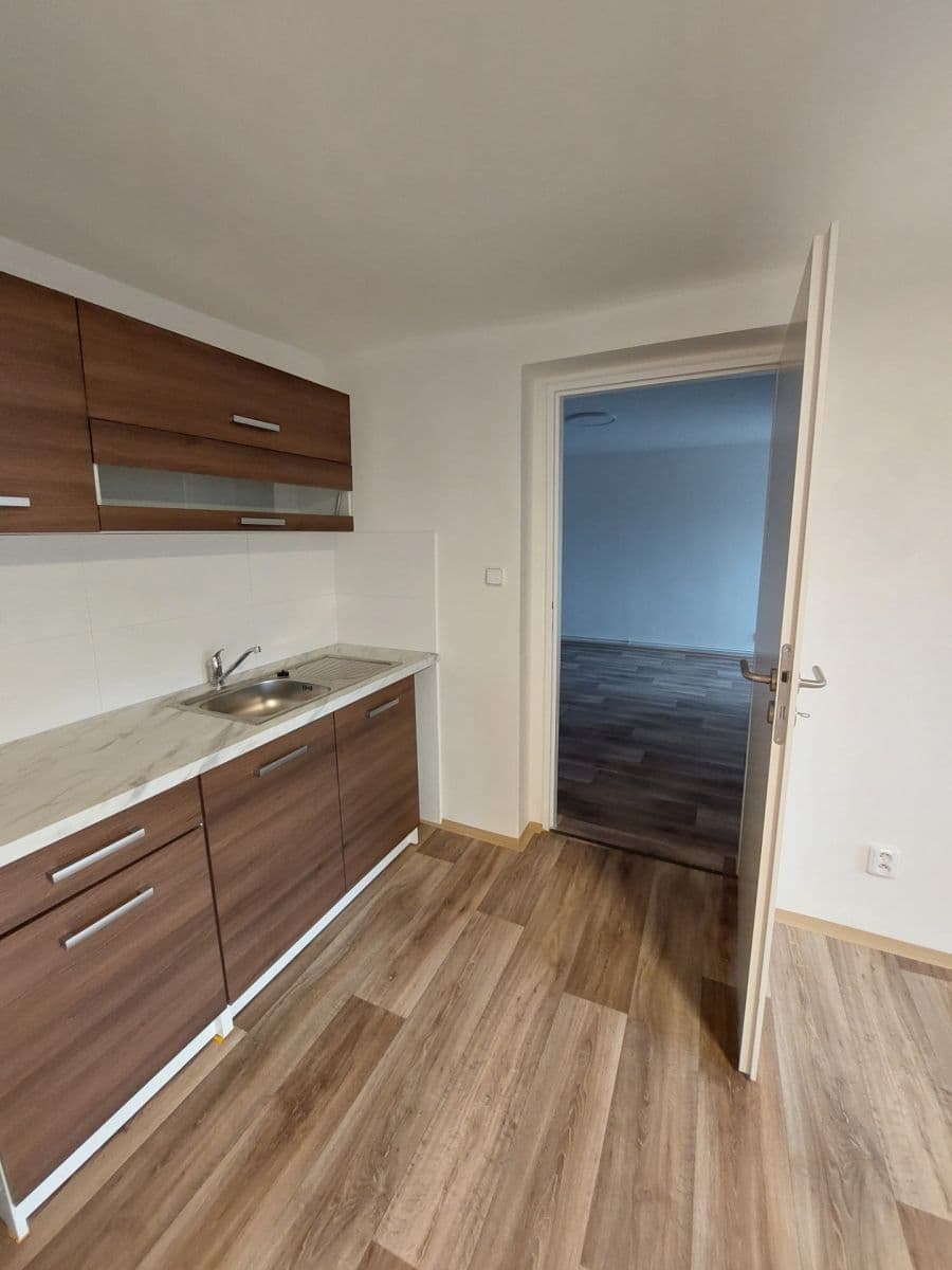 Pronájem bytu 1+1 55 m², Hodkovická, Liberec, Liberecký kraj Pronájem bytu 1+1 55 m², Hodkovická, Liberec, Liberecký kraj