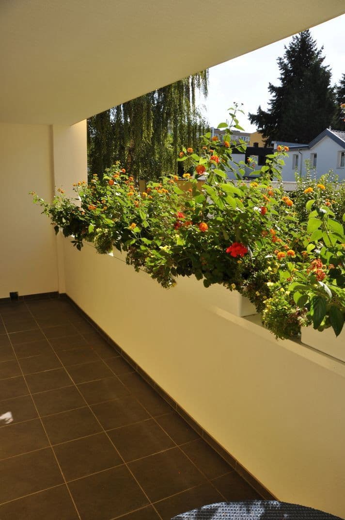 Prodej bytu 3+1 88 m², Frankenweg 26a, 53225 Bonn, Bonn-Beuel, Severní Porýní-Vestfálsko Prodej bytu 3+1 88 m², Frankenweg 26a, 53225 Bonn, Bonn-Beuel, Severní Porýní-Vestfálsko