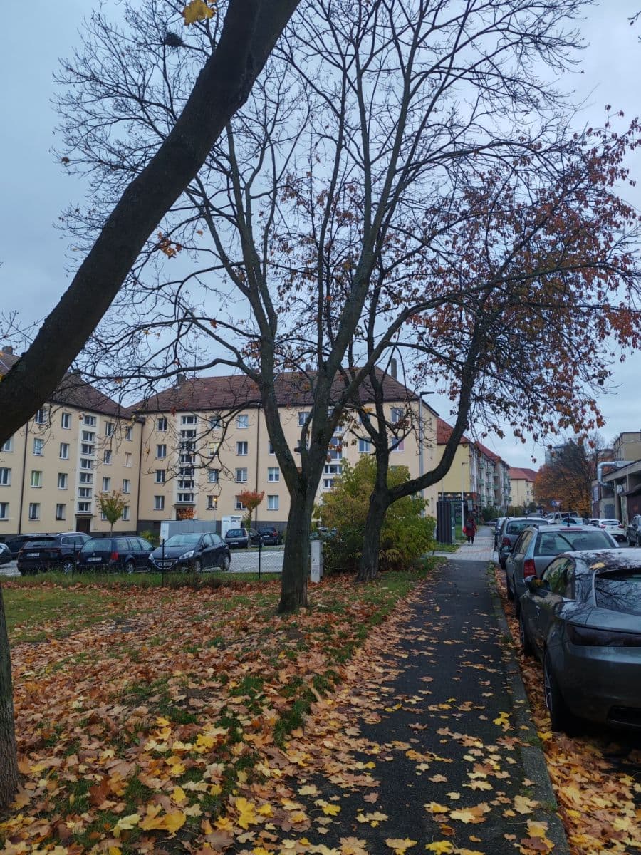 Prodej bytu 2+1 51 m², S. K. Neumanna, Příbram, Středočeský kraj Prodej bytu 2+1 51 m², S. K. Neumanna, Příbram, Středočeský kraj