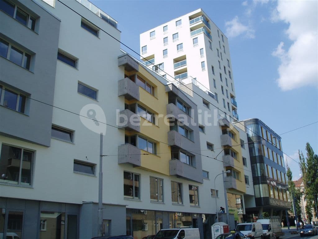 Pronájem bytu 1+kk 34 m², Purkyňova, Brno, Jihomoravský kraj Pronájem bytu 1+kk 34 m², Purkyňova, Brno, Jihomoravský kraj