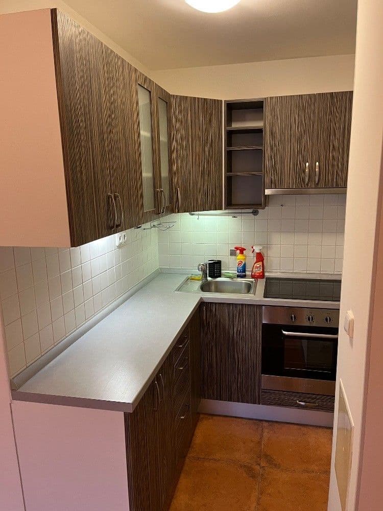 Pronájem bytu 2+kk 47 m², Lukášova, Praha, Praha Pronájem bytu 2+kk 47 m², Lukášova, Praha, Praha