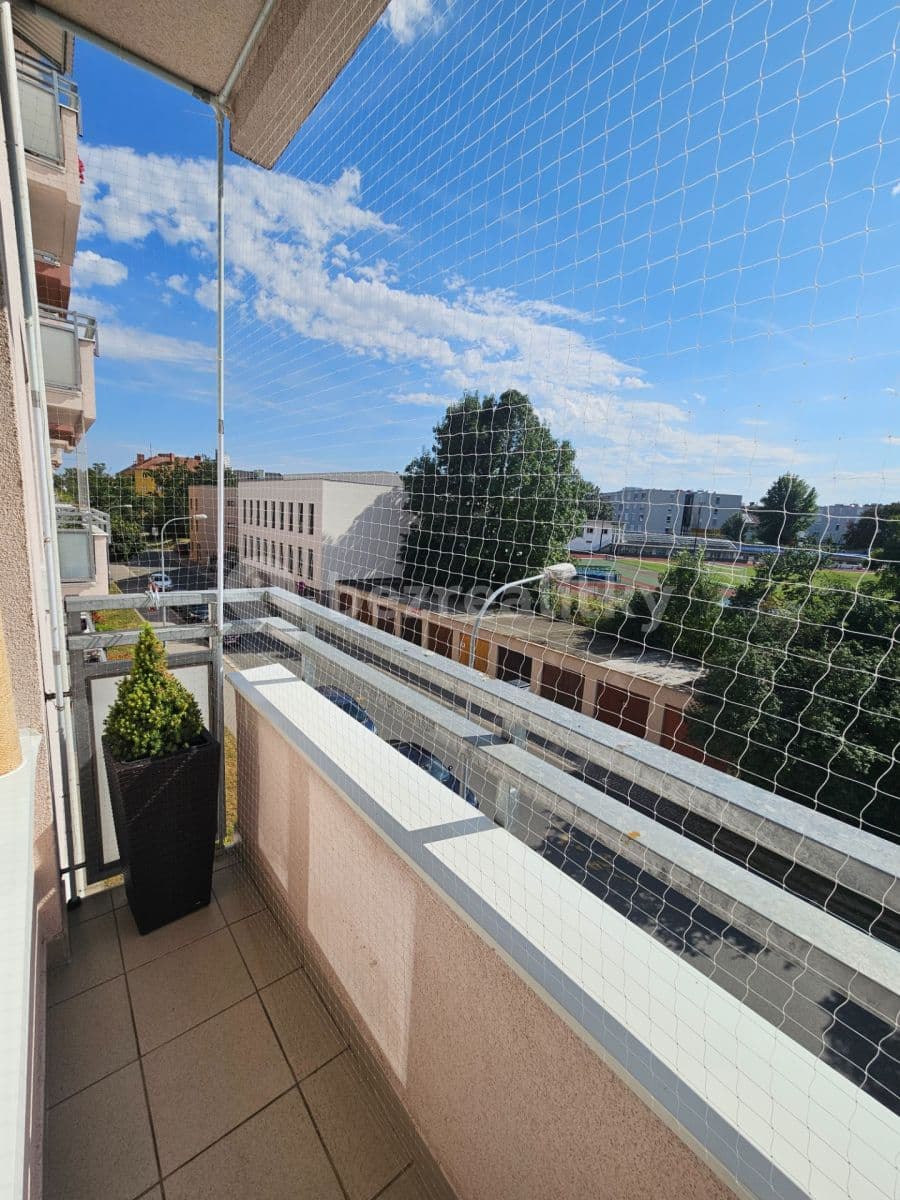Pronájem bytu 2+1 55 m², Polní, Brno, Jihomoravský kraj Pronájem bytu 2+1 55 m², Polní, Brno, Jihomoravský kraj
