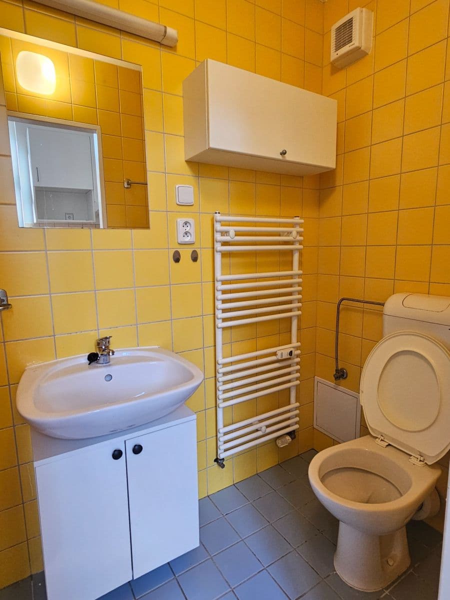 Pronájem bytu 1+kk 32 m², Tábor, Brno, Jihomoravský kraj Pronájem bytu 1+kk 32 m², Tábor, Brno, Jihomoravský kraj